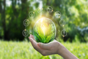 Scopri di più sull'articolo Tecnologie digitali rinnovabili: il Green IT